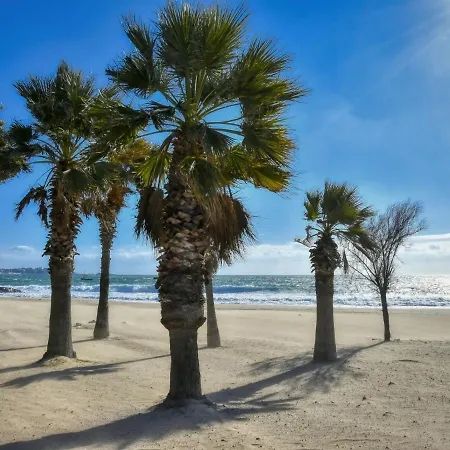 Le Capitole-3 By Interhome Daire